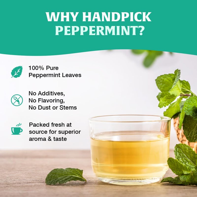 HANDPICK, Peppermint Tea, Eco-Conscious Tea Bags - 100 Count | Caffeine Free, Non-GMO | Minty, Fresh & Cool flavor | Direct From Source - Image 3
